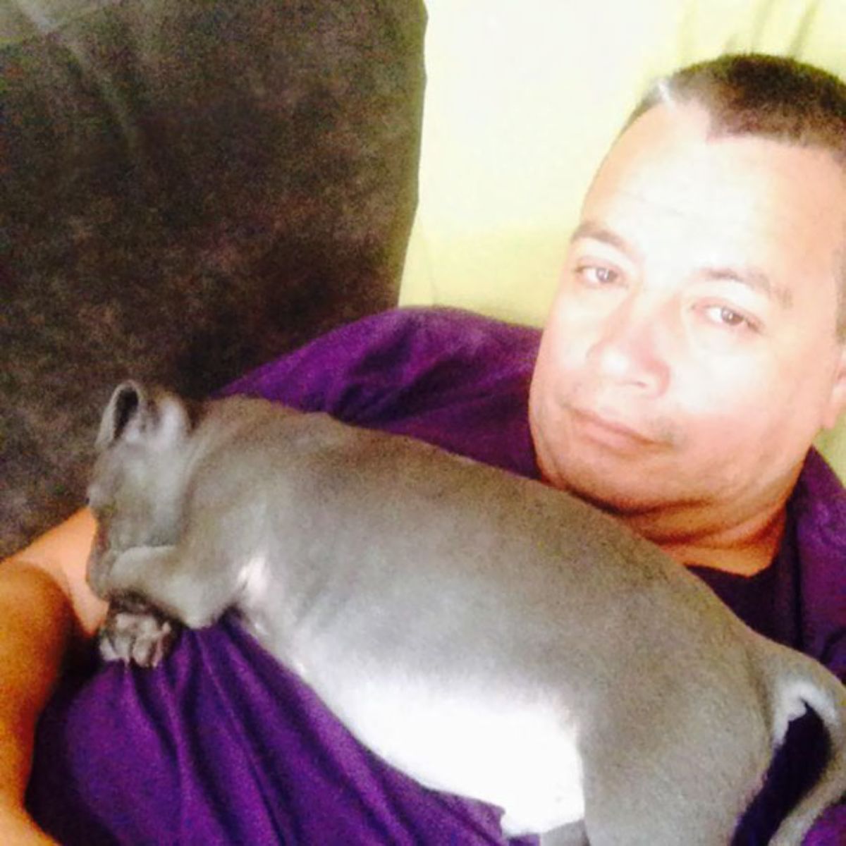 man laying down with a grey and white puppy sleeping across his chest