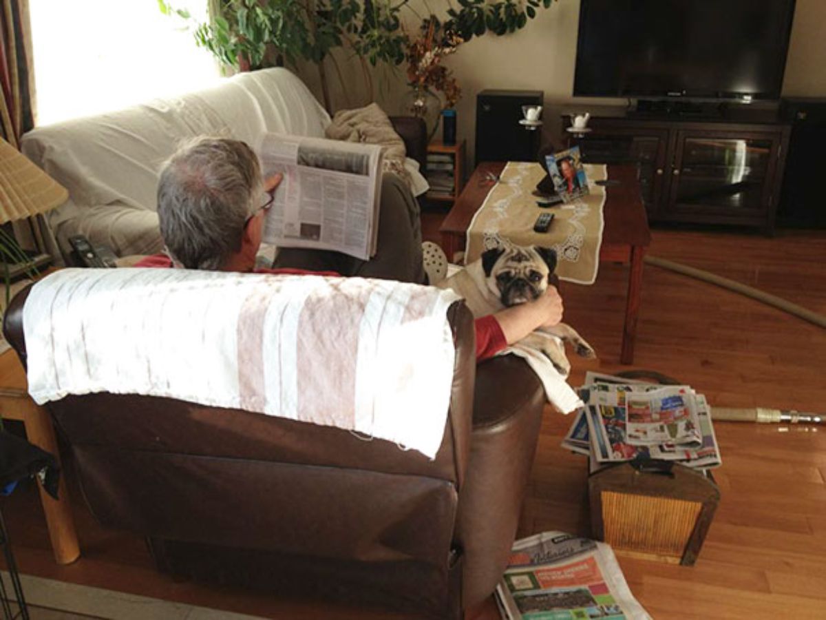 man reading a newspaper while holding a brown pug