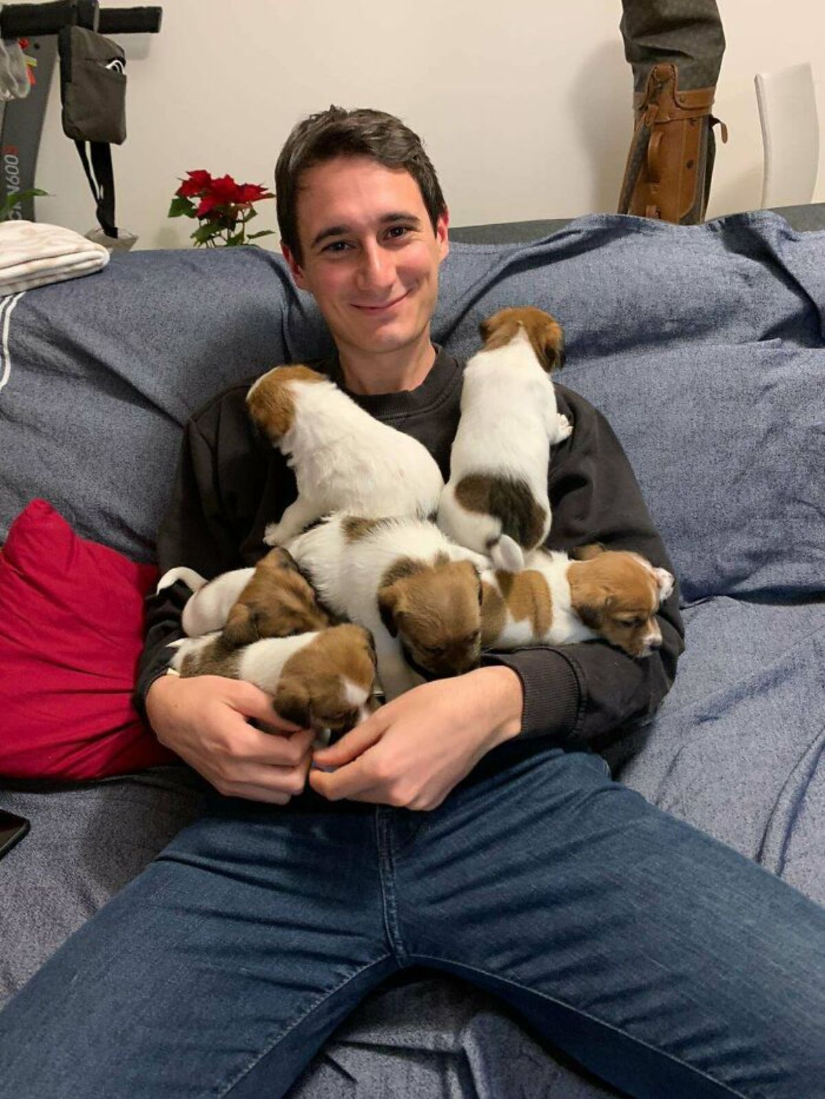 man sitting on a sofa cuddling 6 brown black and white puppies