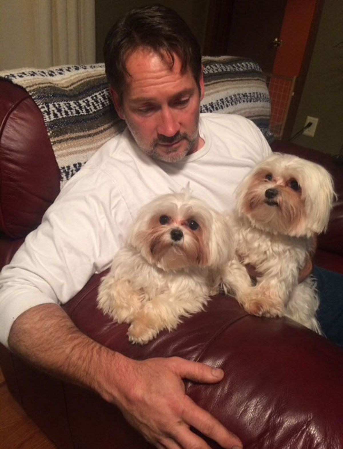 man sitting on chair with 2 fluffy white dogs on his lap