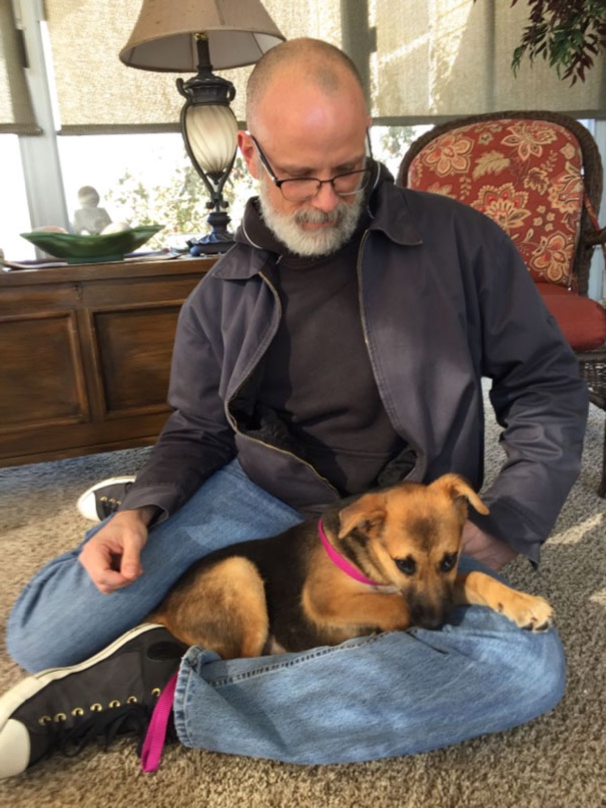 man sitting on the floor with a brown and black puppy on his lap
