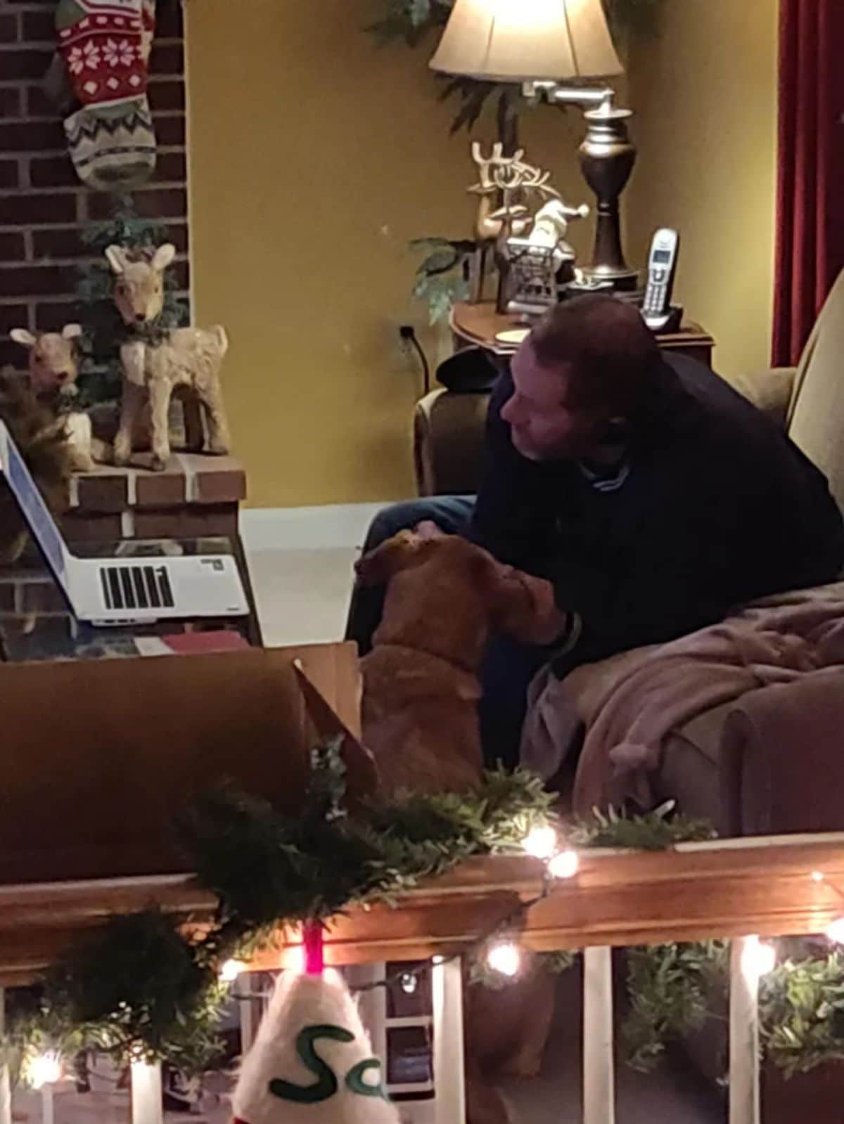 man watching something on a laptop holding a brown dog