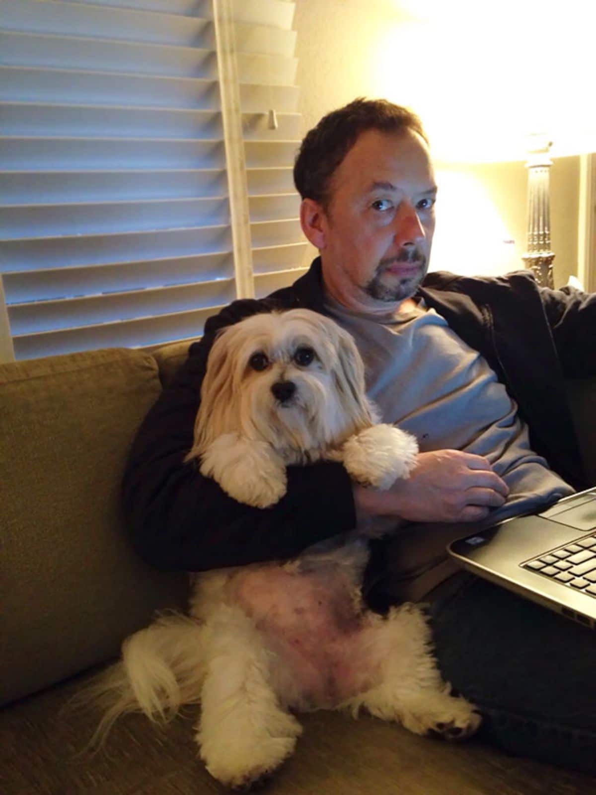 man working on a laptop holding a fluffy white dog on a brown sofa