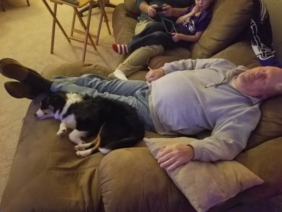 old man sleeping on sofa with a black and white dog sleeping by his legs