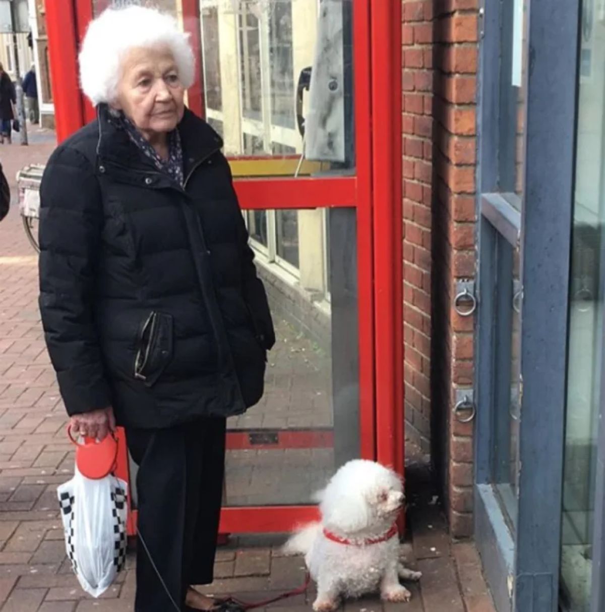 old fluffy small poodle with an old woman with curly white hair