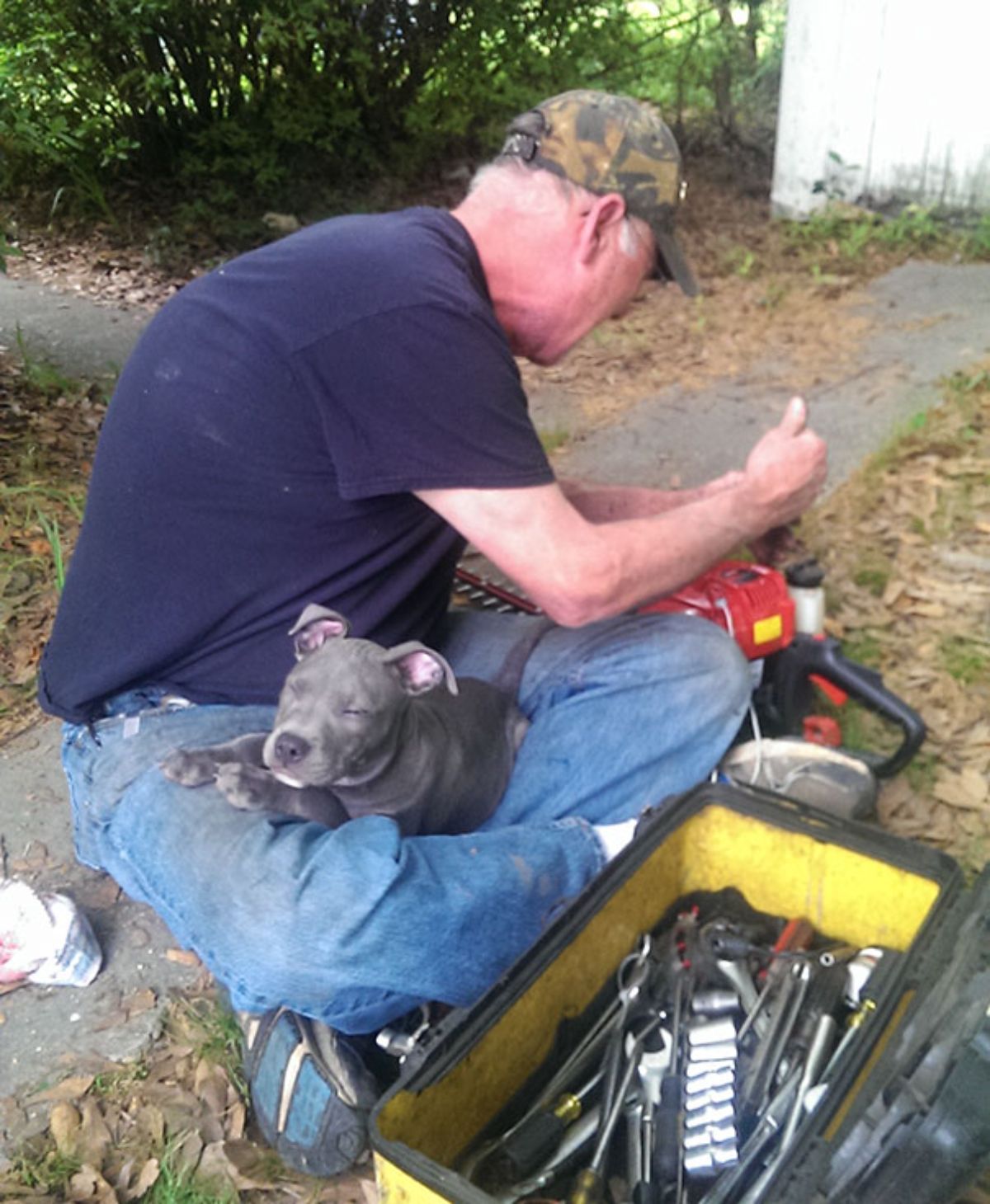 old man fixing something with a grey puppy sleeping on his lap