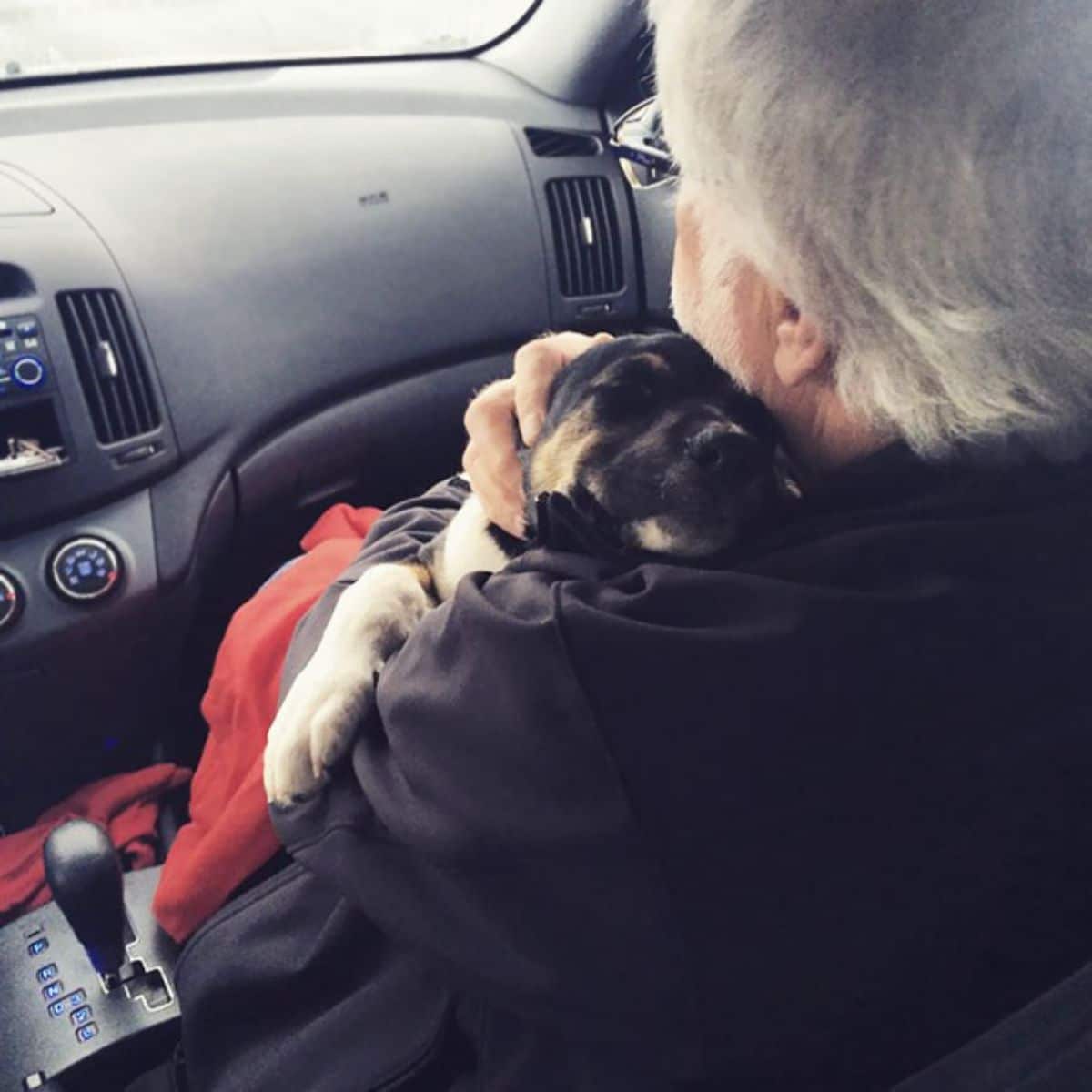 old man sitting in the passenger seat of a vehicle cuddliing a black brown and white puppy