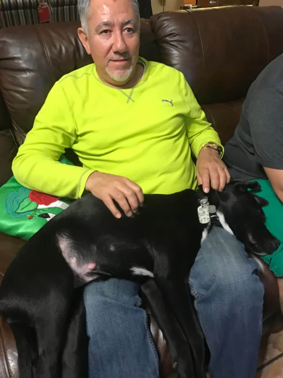 old man sitting on a brown sofa with a black and white dog laying across his lap