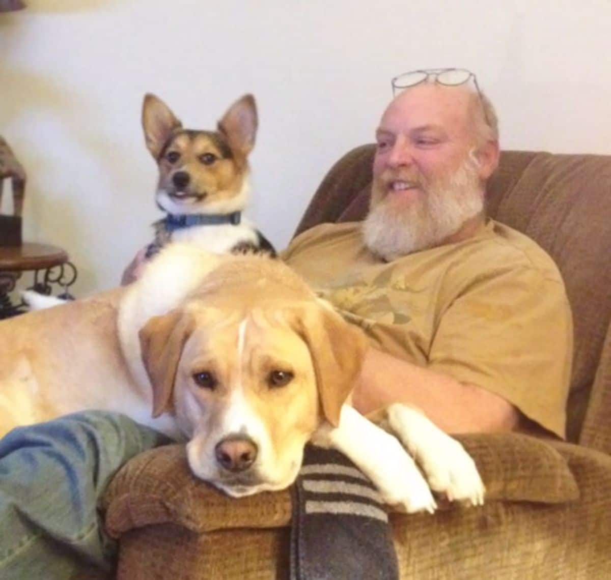 old man with a brown white and black dog and a brown and white dog on his lap