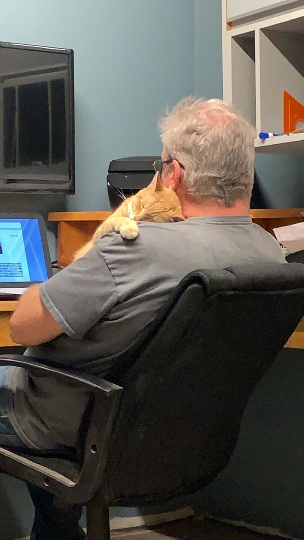 old man working on a laptop while cuddling an orange cat that's resting its head on his shoulder