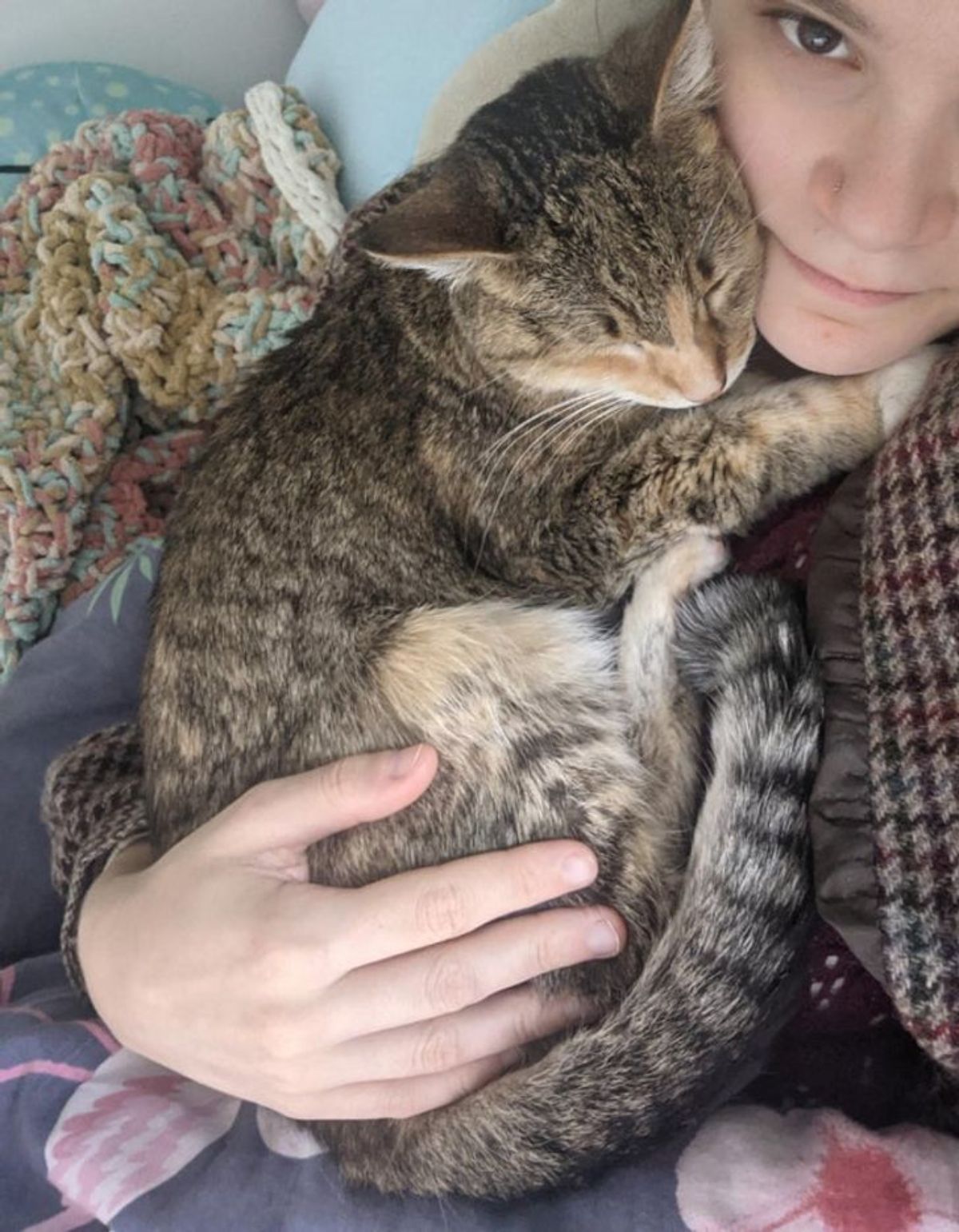 old sleeping brown tabby cat being hugged by someone