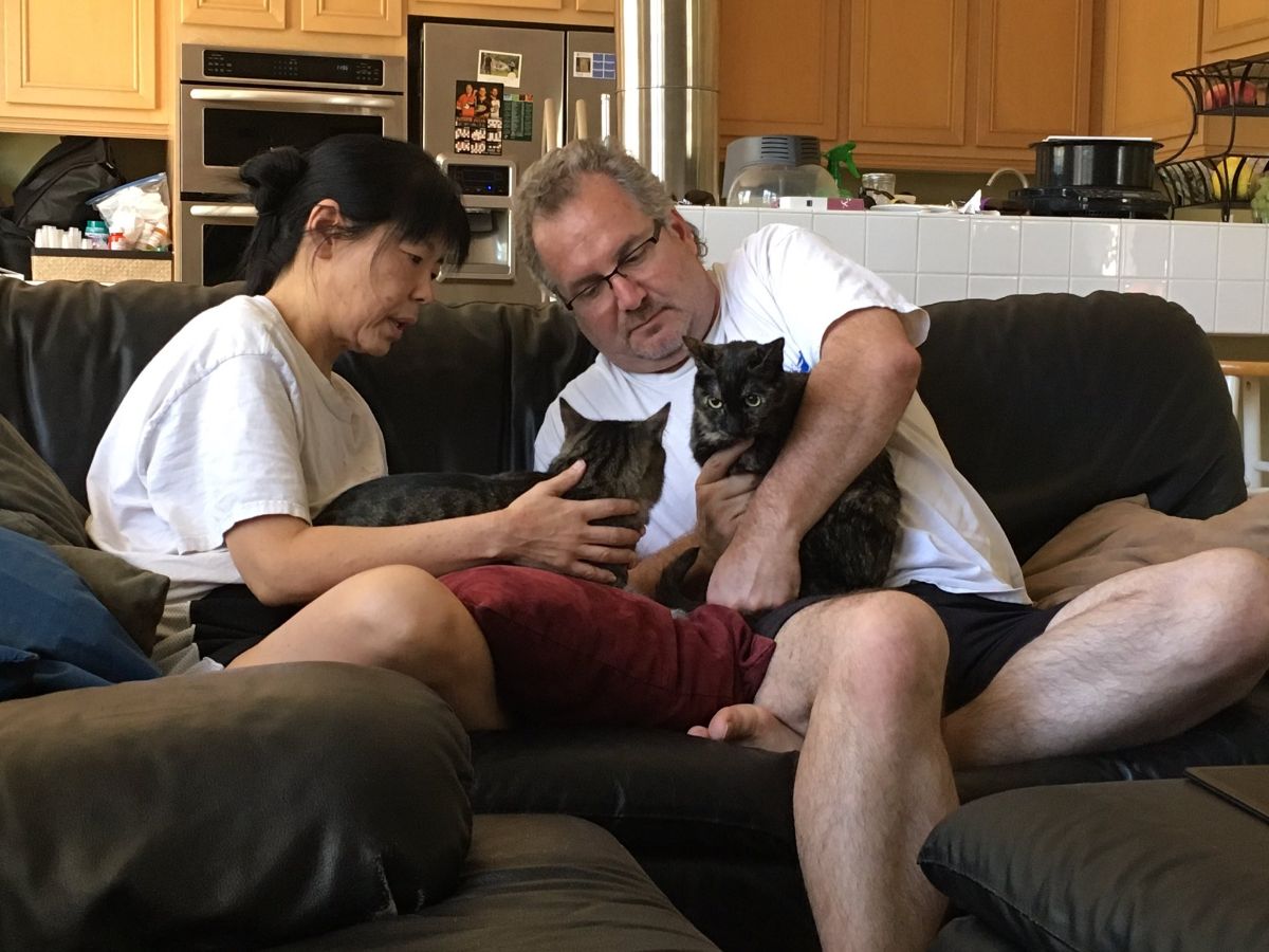 old woman and man holding a cat each and forcing them to look at each other