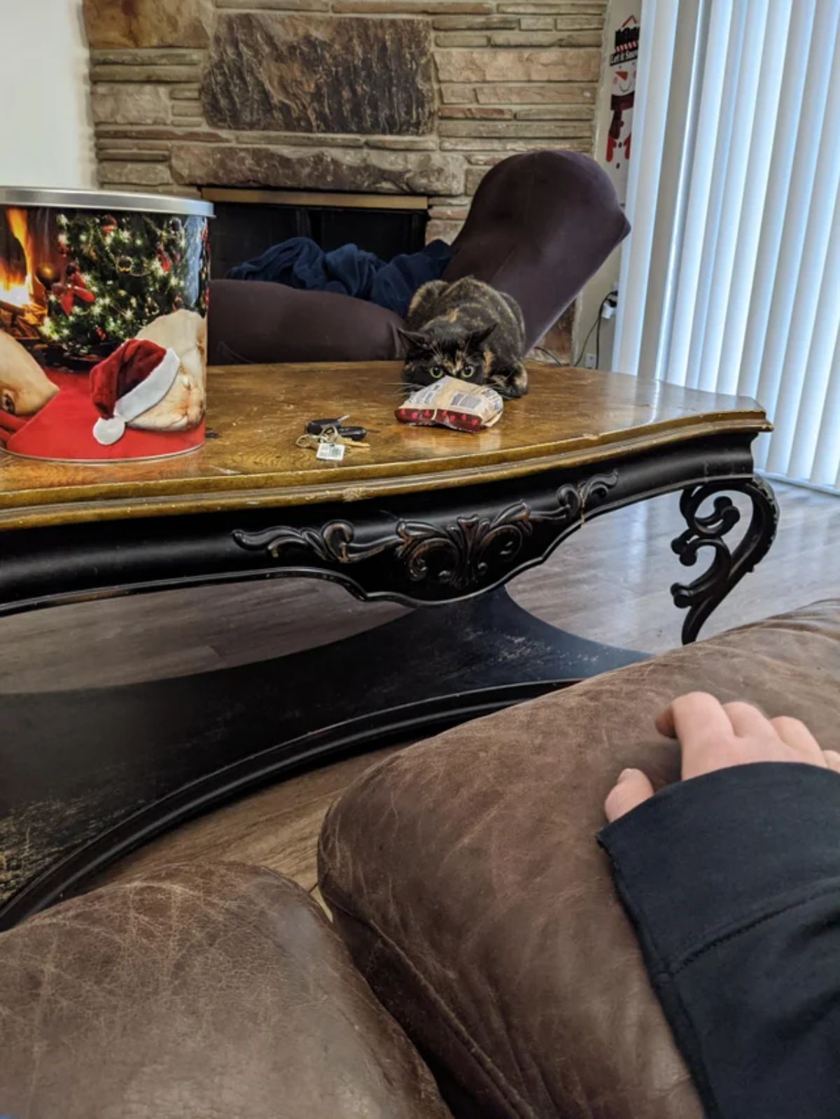 orange and black cat laying on a brown table behind a packet of food with part of the face hidden behind it