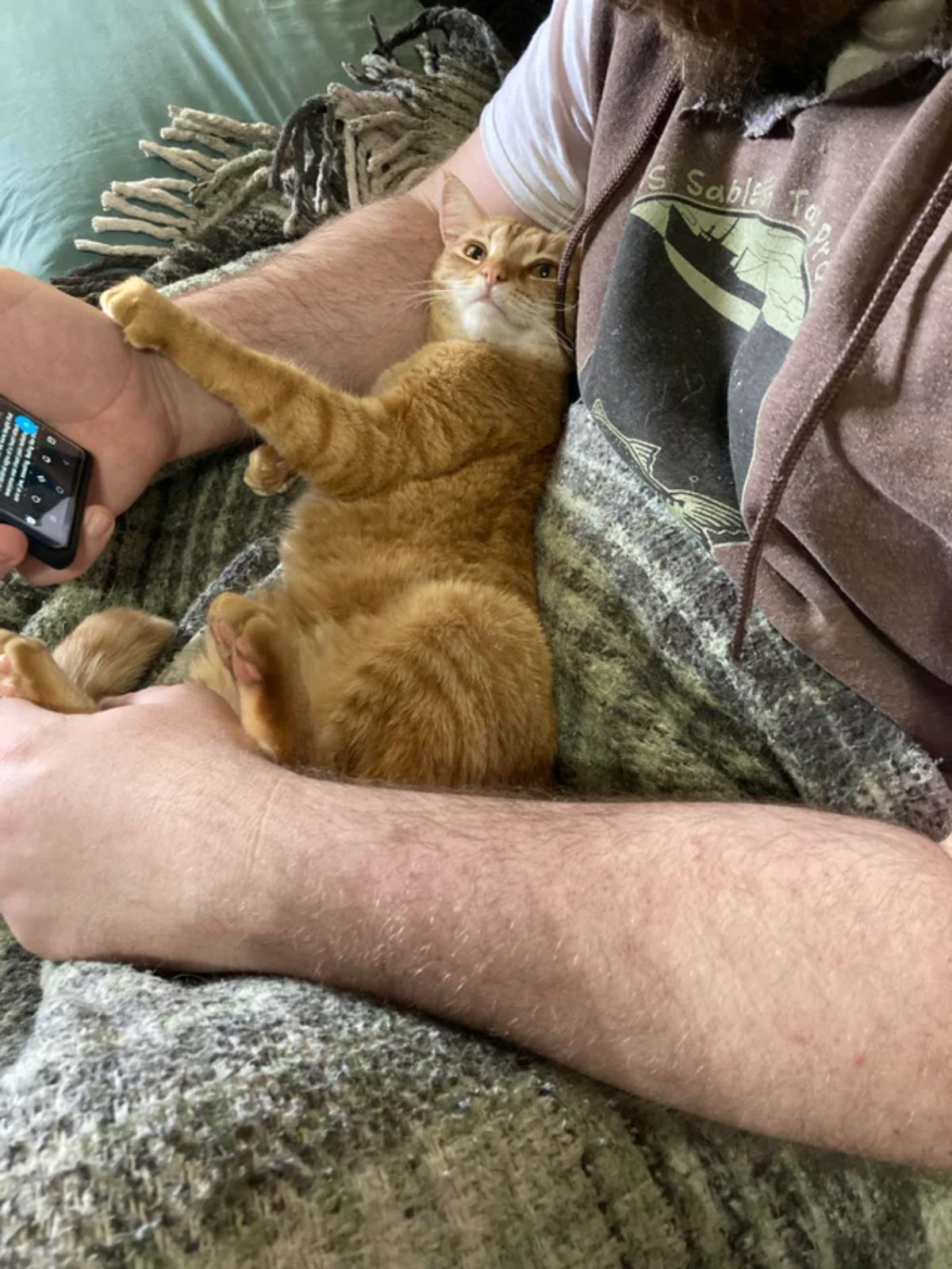 orange and white cat laying belly up on a man's lap with one paw on his arm