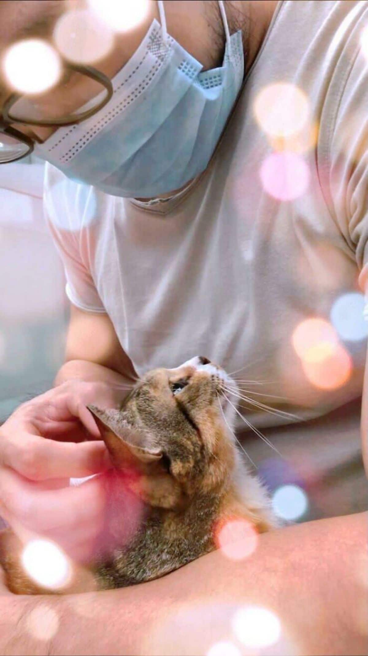 orange grey and white cat being held by a man and they are looking lovingly at each other