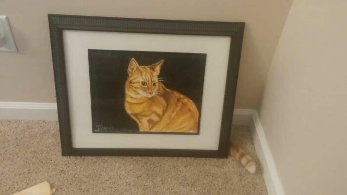 painting of orange cat in a brown frame with the orange tail showing from behind the painting