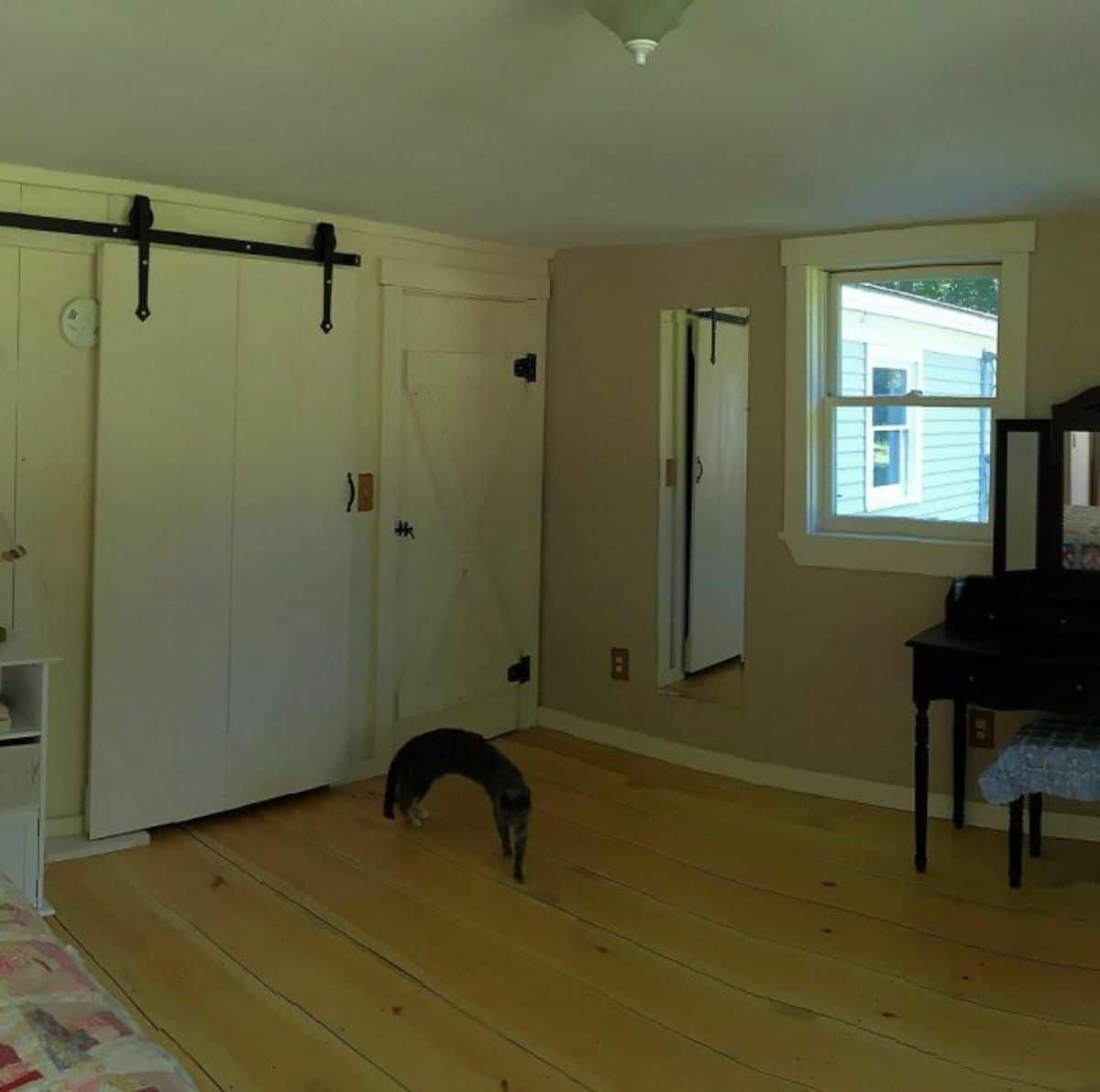panoramic fail of black cat with a long curved body