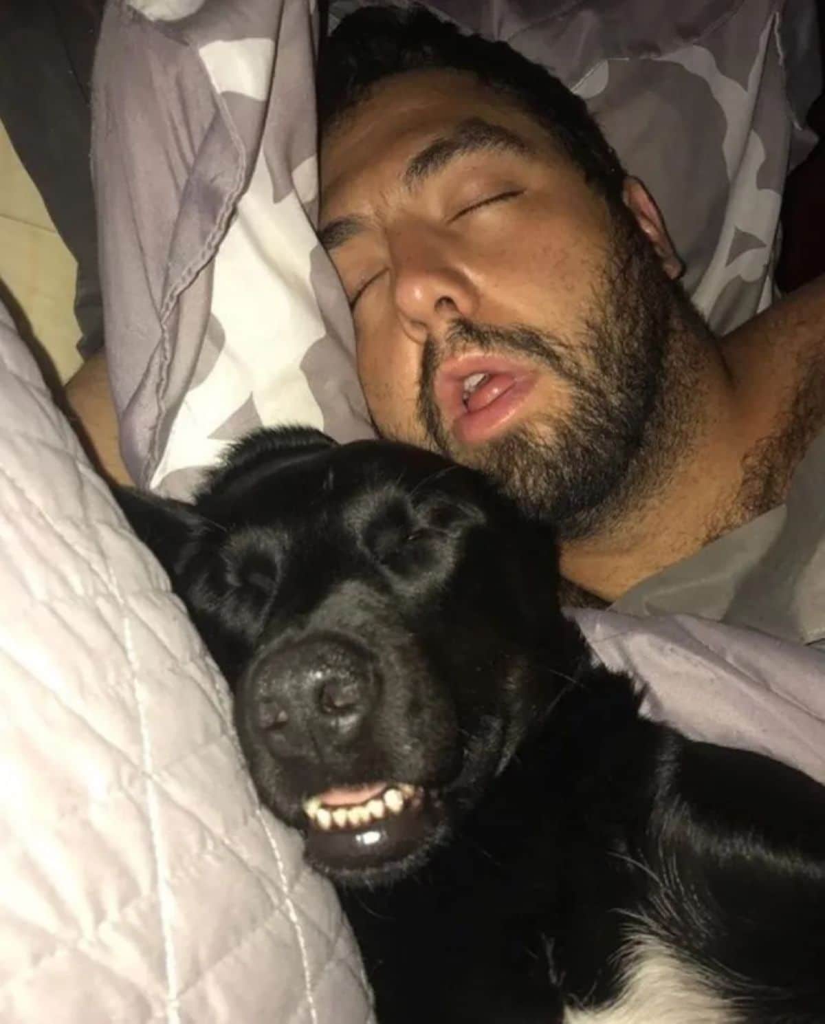 sleeping black dog with the mouth open and a man sleeping with his mouth open