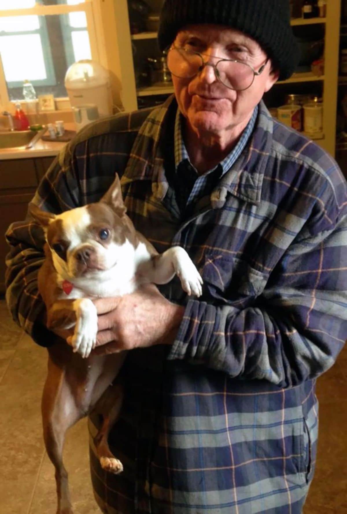 small brown and white dog held by an old man