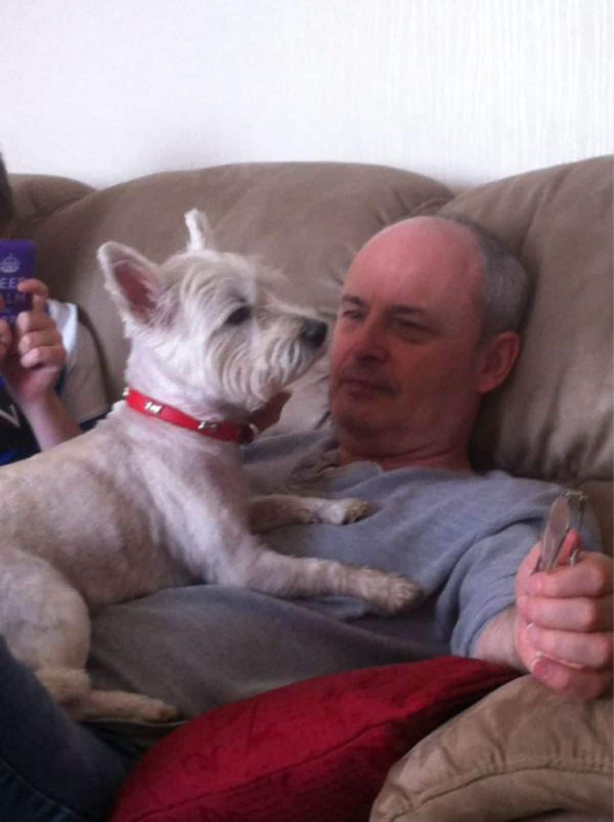small white dog laying on a man's chest