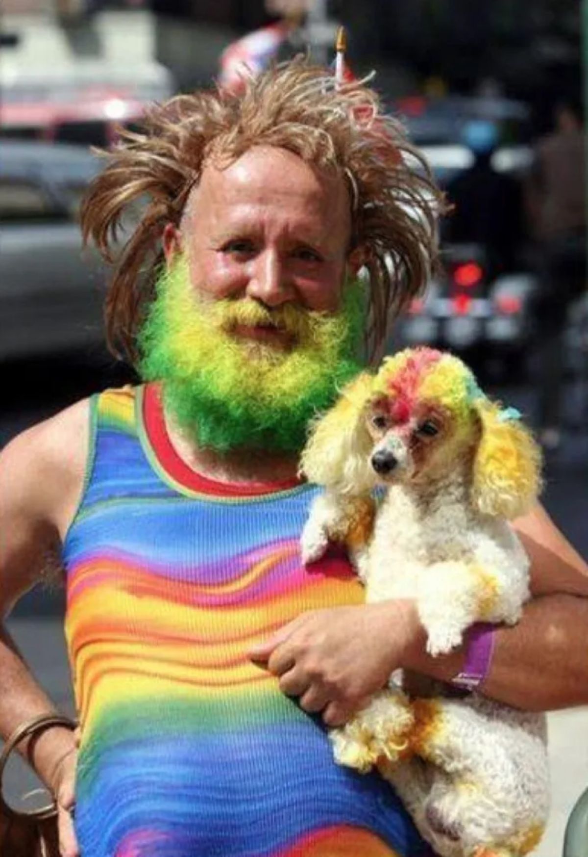 small white poodle coloured in rainbow colours held by a man with green and yellow beard and rainbow coloured shirt