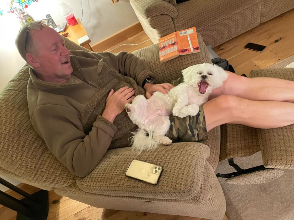 small white westie puppy laying on an old man's lap