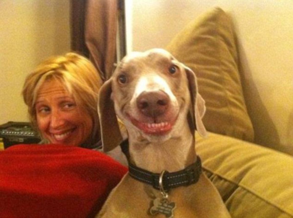 smiling grey and white dog with a smiling woman behind it