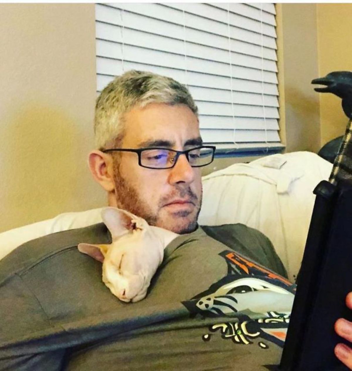 sphinx cat sleeping inside a man's shirt while he's on his phone