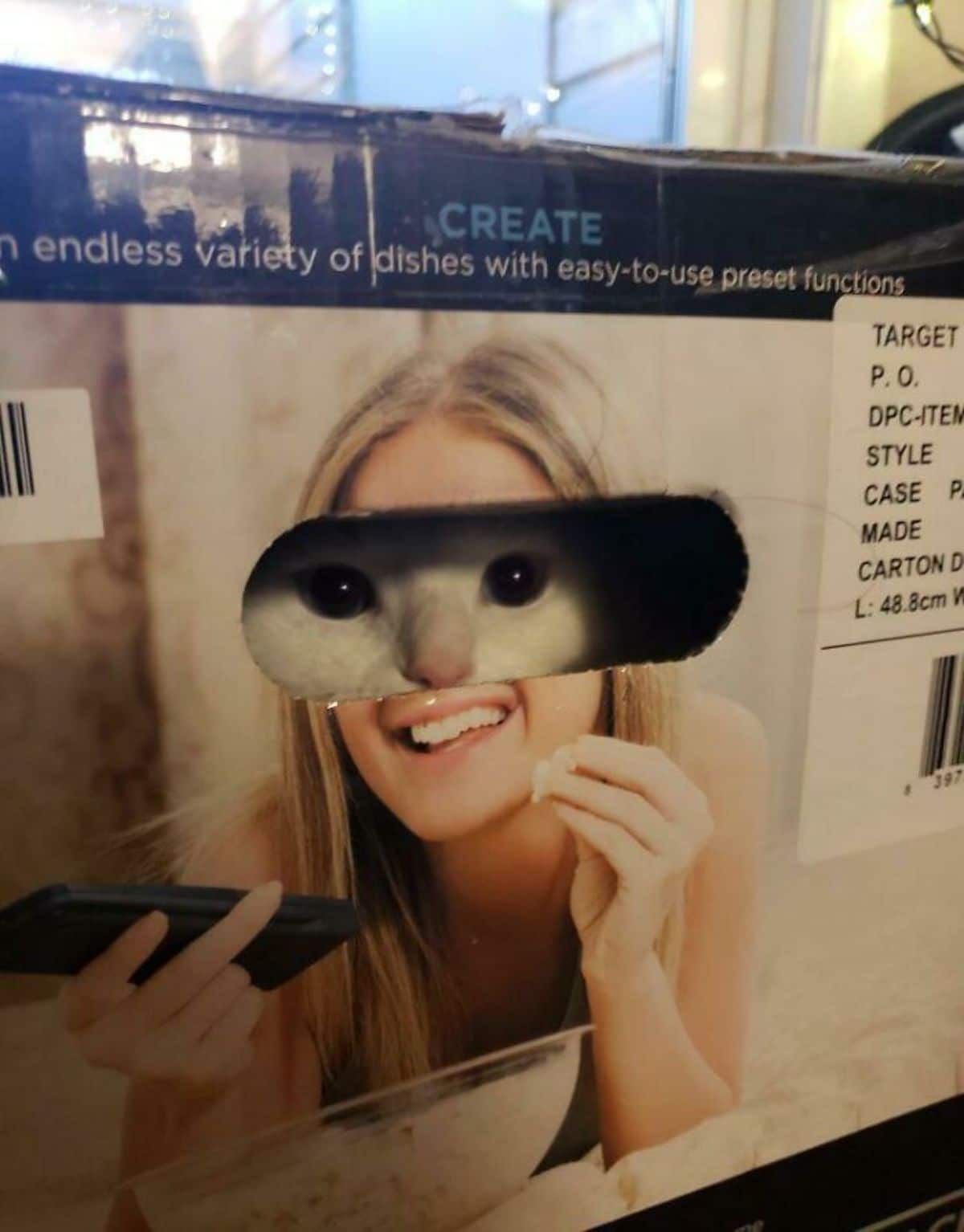 white cat's eyes showing from a gap in a cardboad box where there's a gap around the eyes on a woman's face