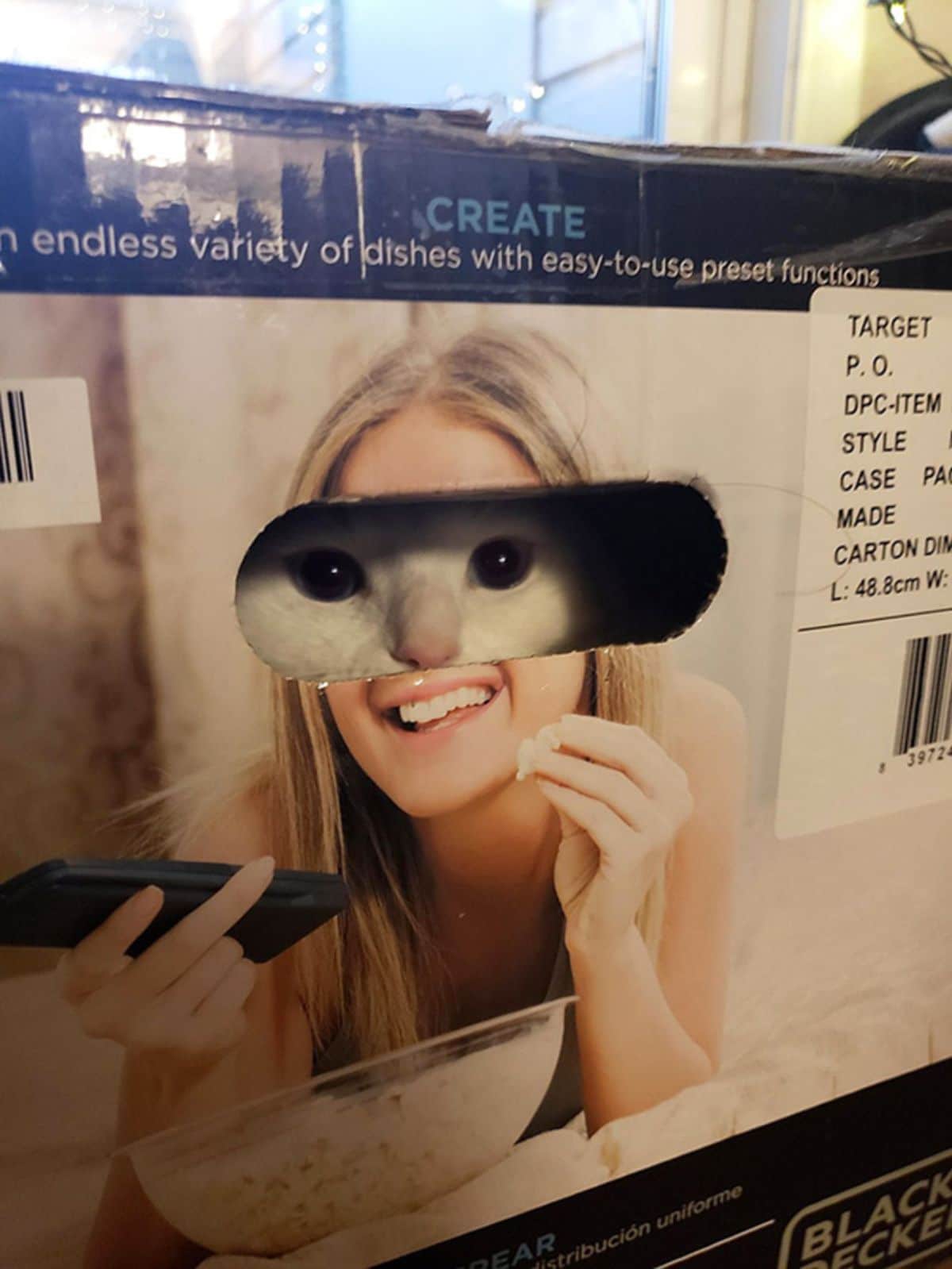 white cat's eyes showing in a gap in a cardboard box where a woman's eyes should be