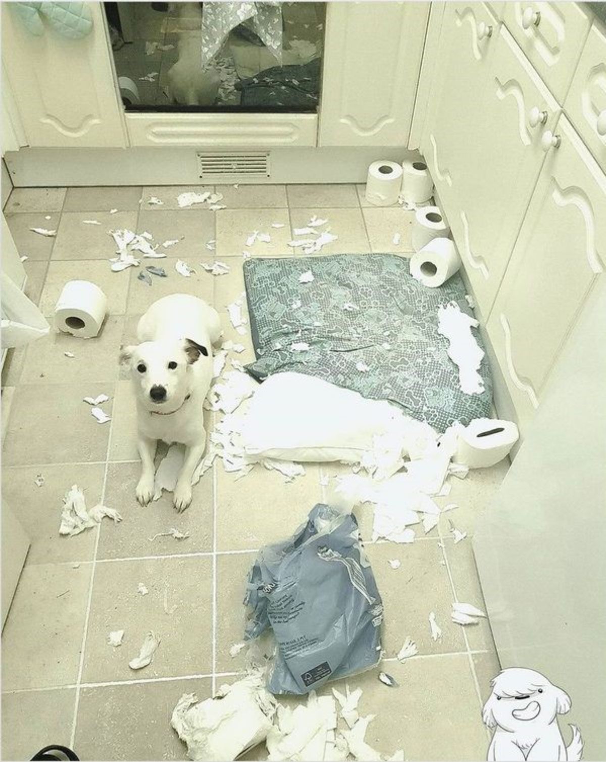 white dog laying on bathroom floor with toilet paper on the floor with some ripped up