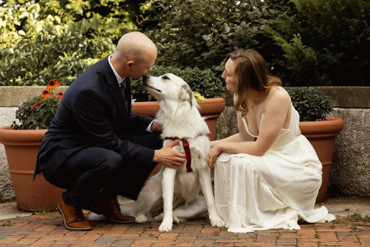 white dog sitting between a groom and a bride and the dog is sniffing the man