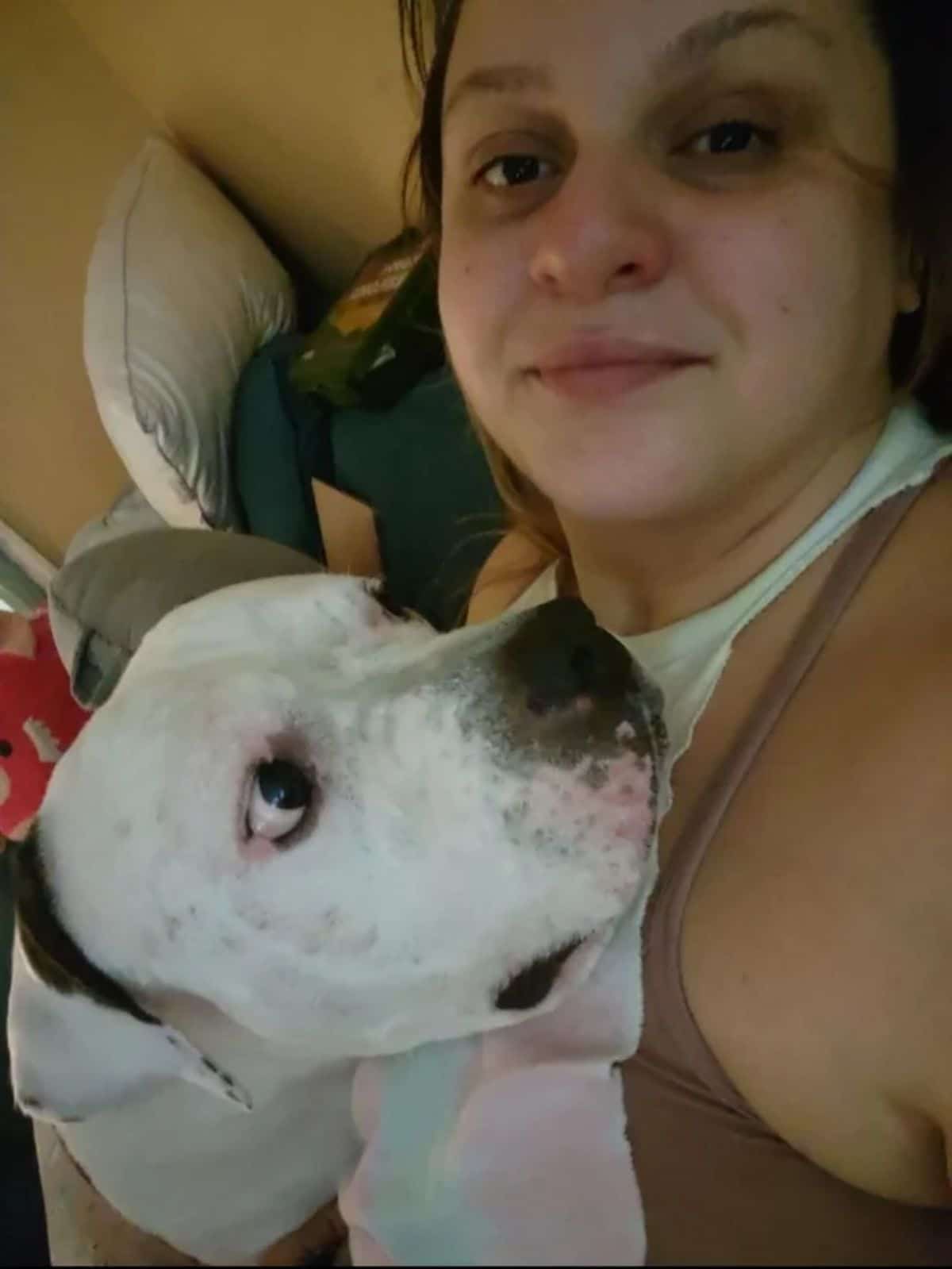 white pitbull laying on a woman and looking up at her lovingly