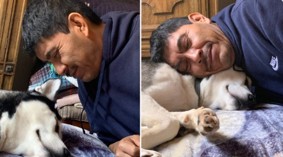 2 photos of a black and white husky sleeping on a bed with a man looking at it lovingly and cuddling with it