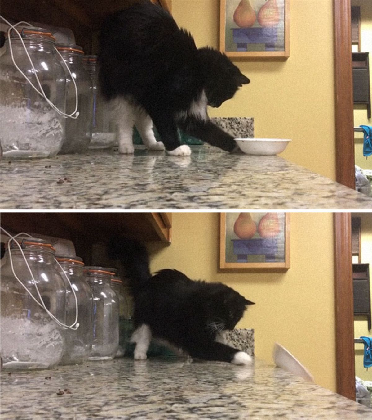 2 photos of a black and white kitten pushing a white bowl off of a counter