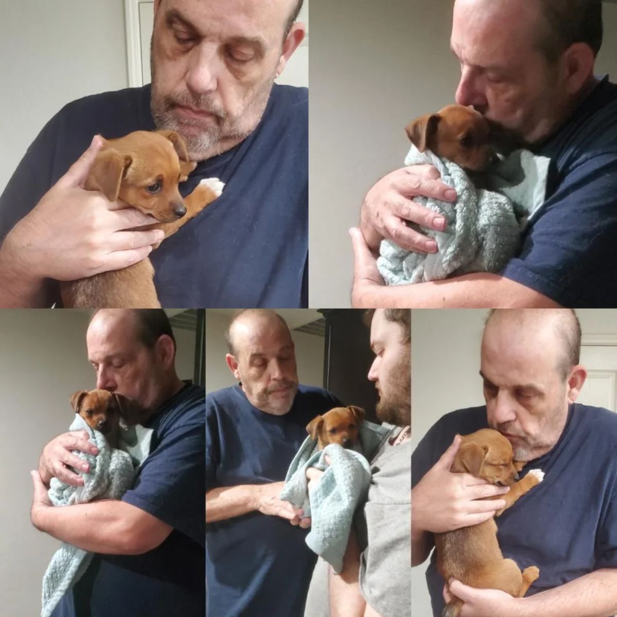 5 photos of a brown puppy with white paws wrapped in a blue blanket being hugged and kissed by an old man