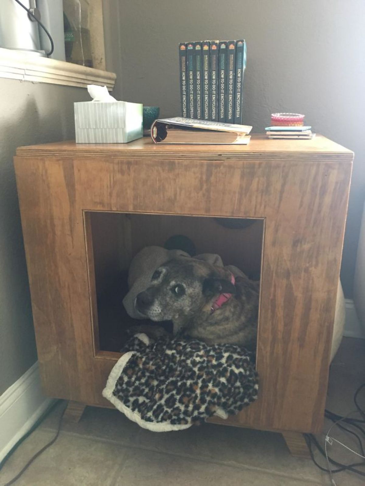 black and brown brindle dog laying on blankets inside a cave made into a wooden end table