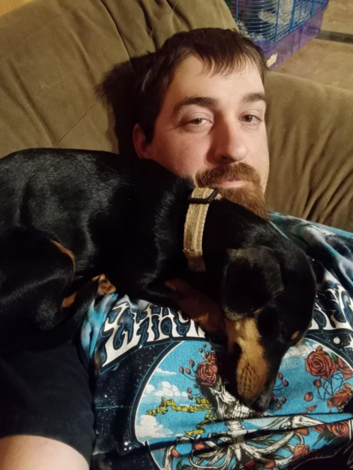 black and brown dog laying on a man's chest while the man is laying down on a brown sofa