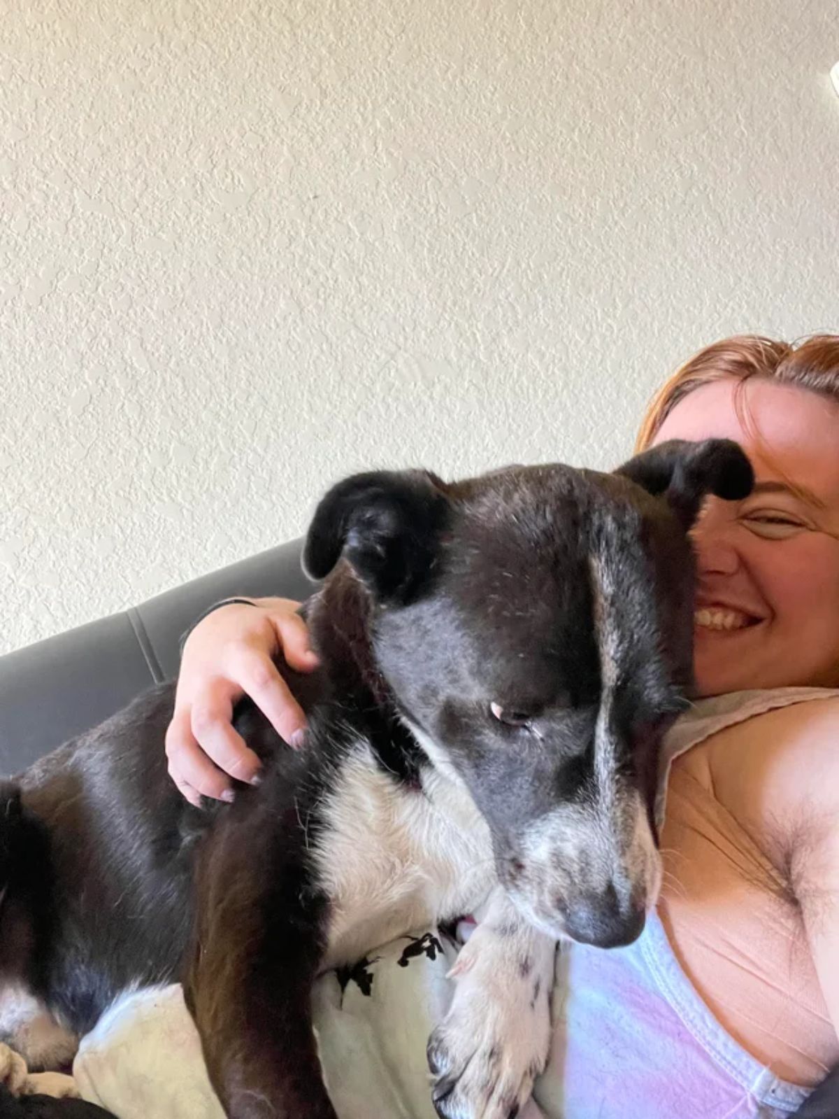 black and white dog laying on a woman hugging the dog