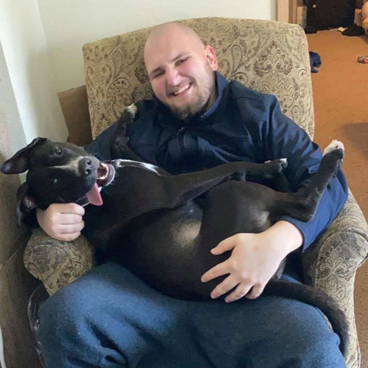 black and white dog with tongue out laying across a man's lap like a baby