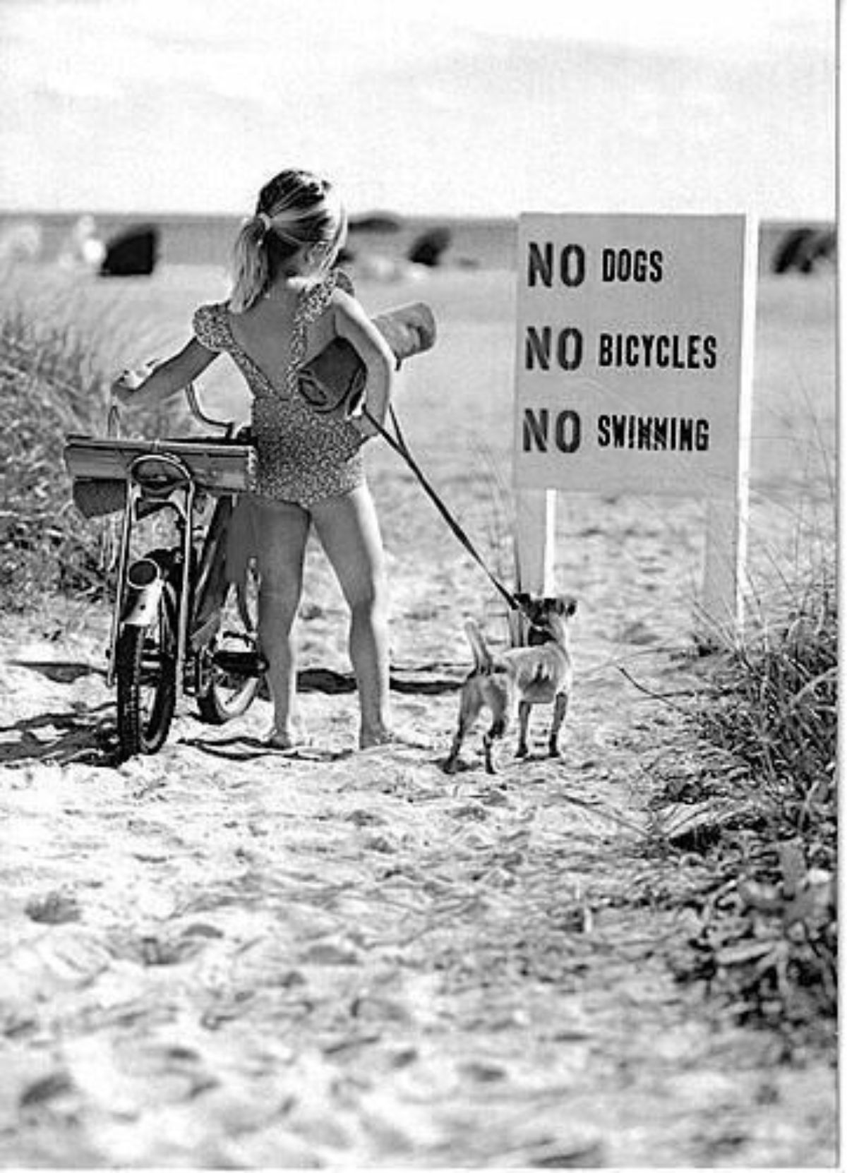 black and white photo of little girl with a small dog in front of a NO DOGS NO BICYCLES NO SWIMMING sign