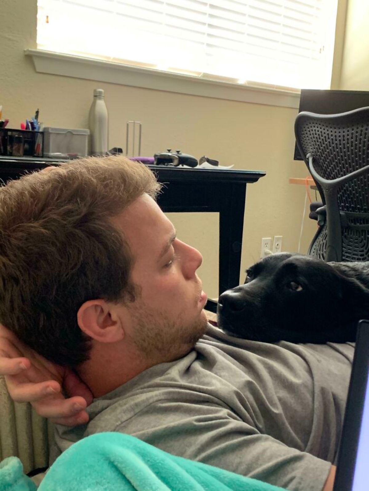 black dog laying on a man's chest and looking at him lovingly