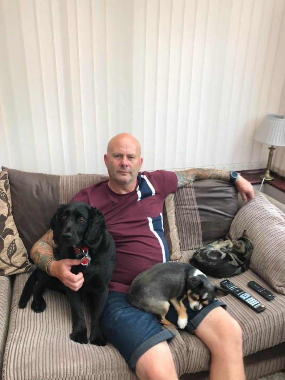 black dog on a brown sofa being held by a man with a small black brown and white dog sitting on his lap and a black and brown marbled cat on his other side