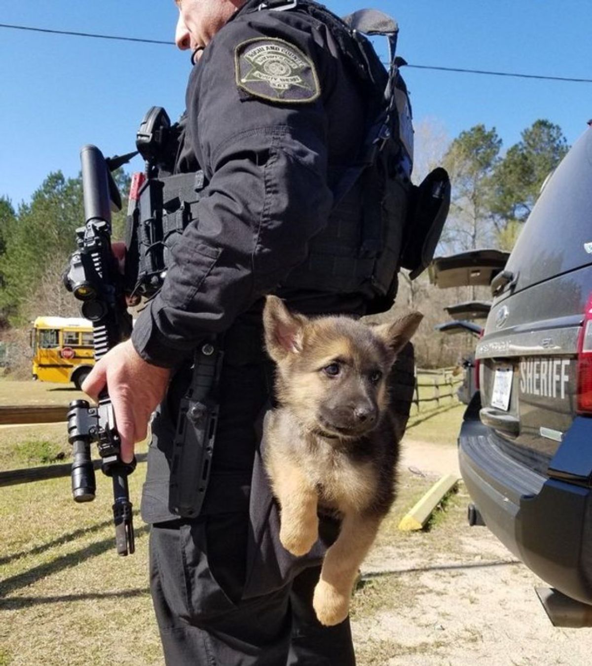 brown and black german shepherd puppy hanging at the back of a male police officer
