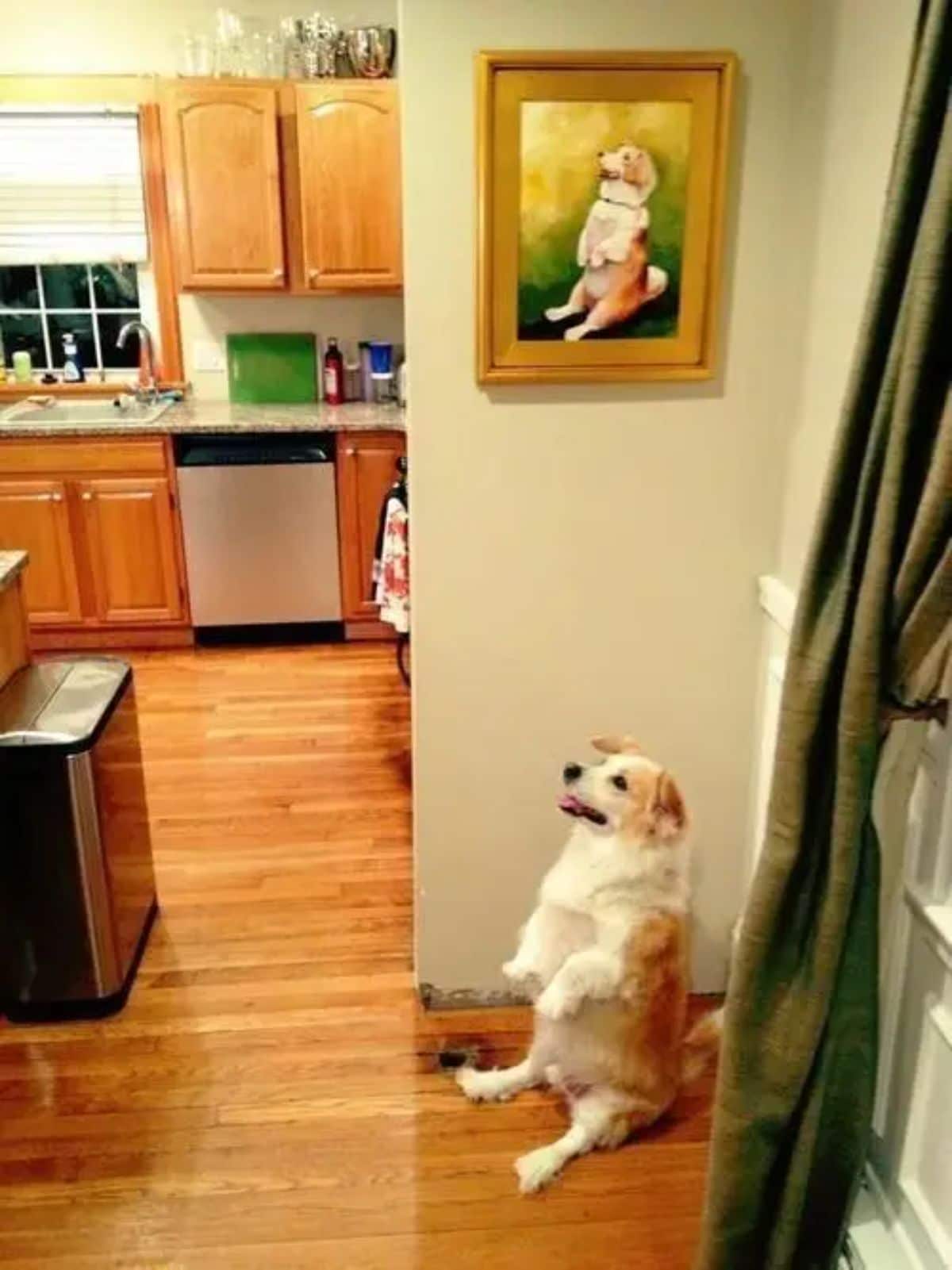 brown and white corgi sitting on its haunches under a painting of the dog doing the same