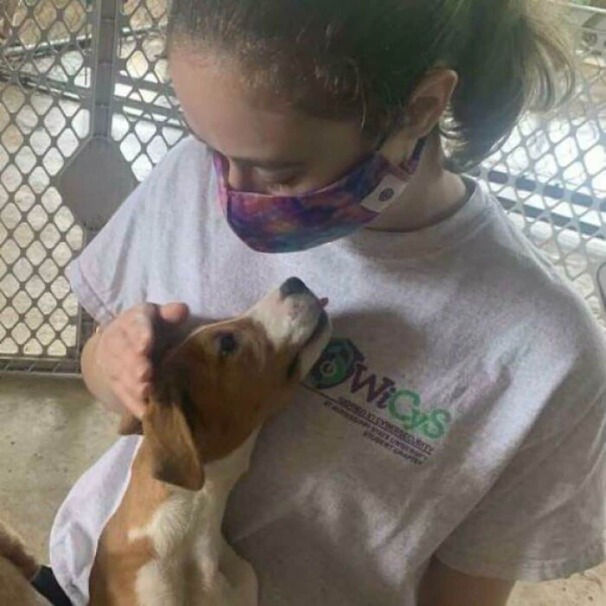 brown and white dog getting petted by a woman and the dog is looking up lovingly at her