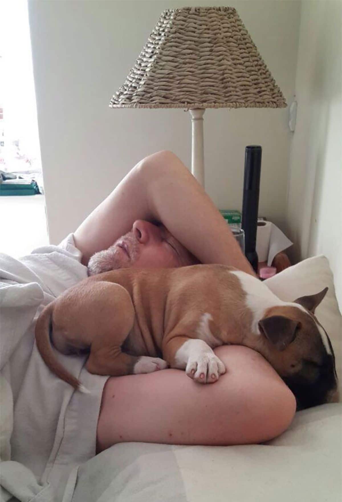 brown and white puppy sleeping on a sleeping old man on a white bed