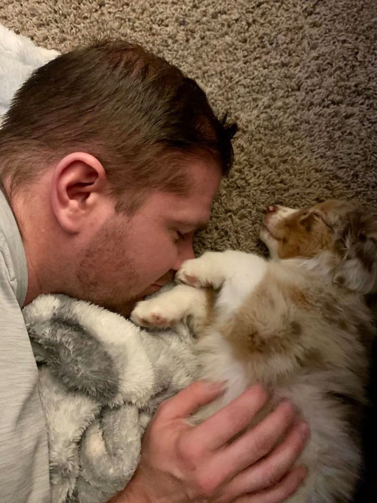 brown and white sleeping puppy laying next to a sleeping man with a grey and white blanket between them