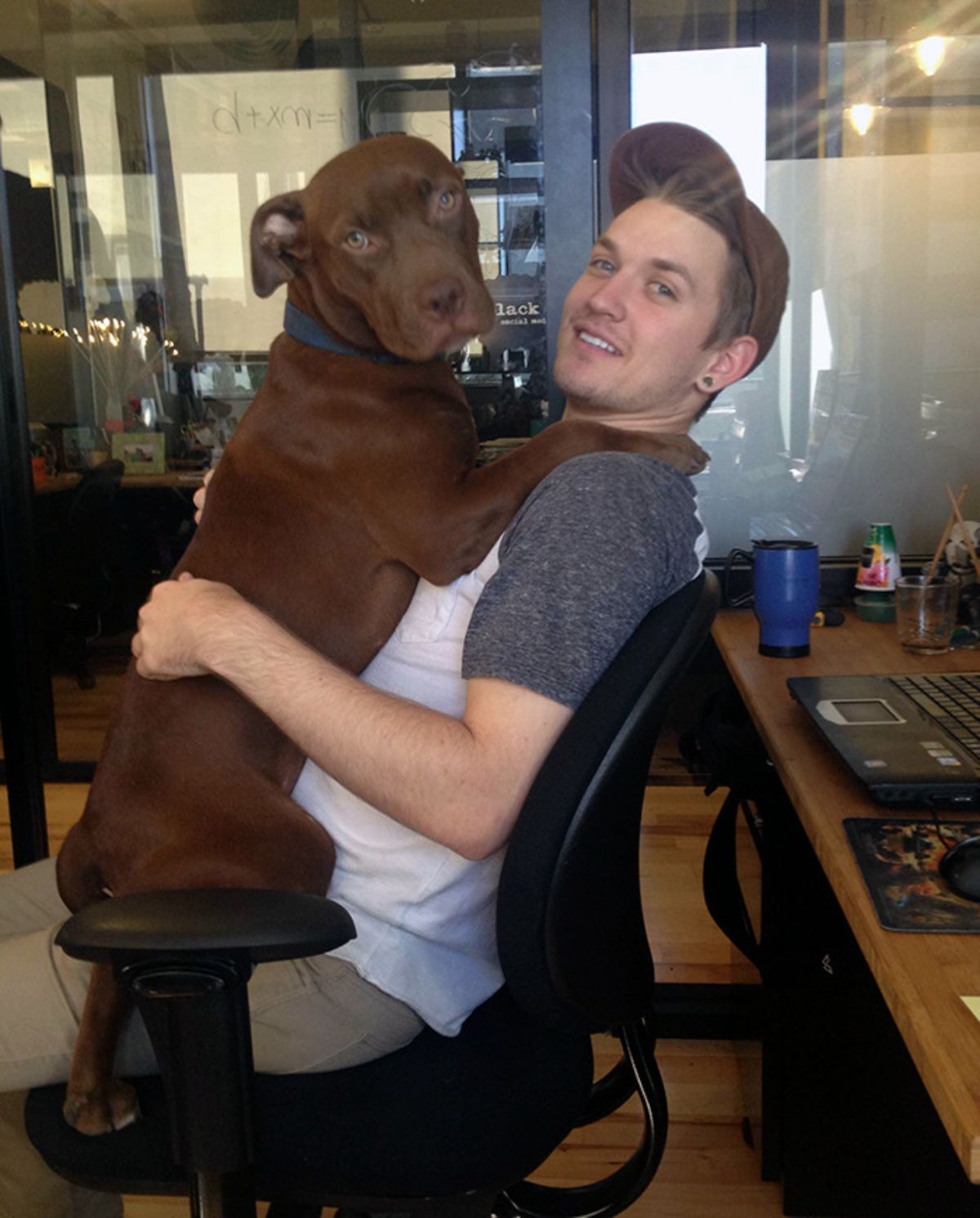 brown dog sitting astride a man's lap and being hugged