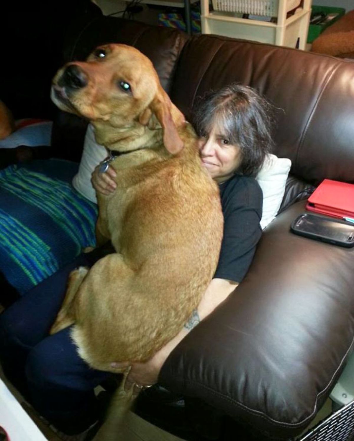 brown dog sitting on a woman's lap and being hugged